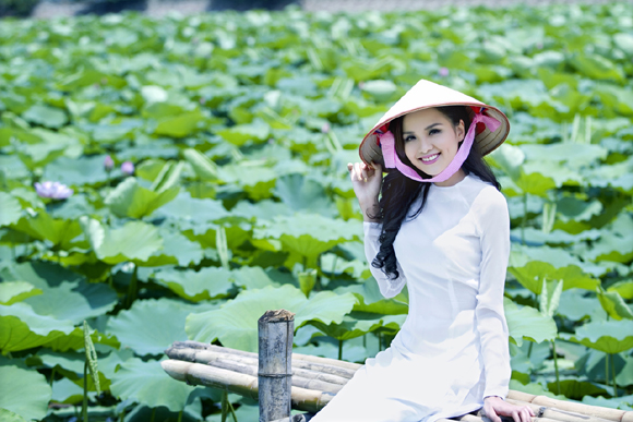 Bí quyết chụp ảnh với Sen đẹp trong mùa hè 2019